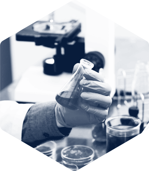 SINECA, nos secteurs | Chimie